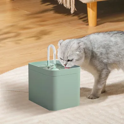 FurryFusion Fontaine à eau pour chat(Accessoires)