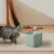 FurryFusion Fontaine à eau pour chat(Accessoires)