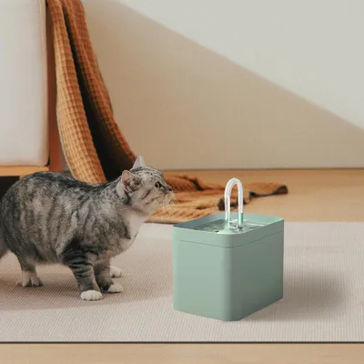 FurryFusion Fontaine à eau pour chat(Accessoires)