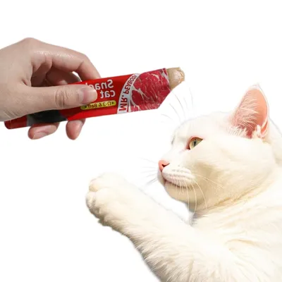 FurryFusion Bâtonnets de friandises pour chat