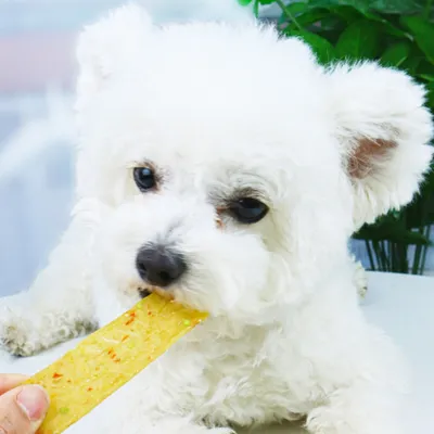 FurryFusion Friandises pour chiens, viande séchée de poulet et légumes