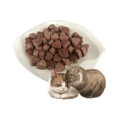 FurryFusion Croquettes de sang de lapin lyophilisées pour chat