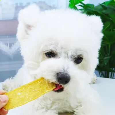 FurryFusion Friandises pour chiens, viande séchée de poulet et légumes