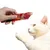 FurryFusion Bâtonnets de friandises pour chat