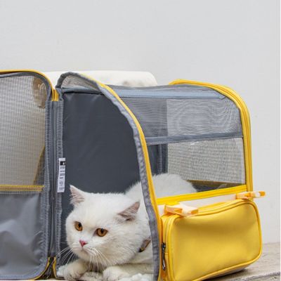 FurryFusion Bolsa transportadora para gatos portátil y transpirable