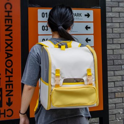 FurryFusion Sac à transport pour chat portatif et respirant