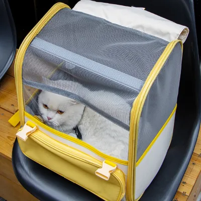 FurryFusion Sac à transport pour chat portatif et respirant FurryFusion Sac à transport pour chat portatif et respirant