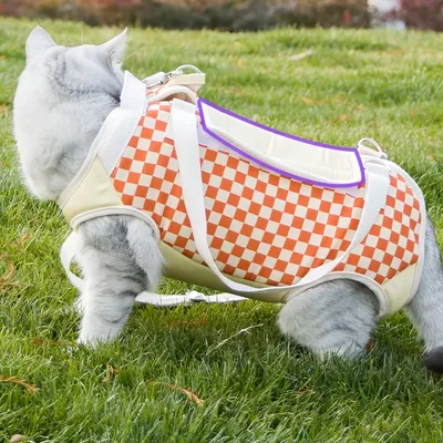 FurryFusion Sac à bandoulière portable pour chat