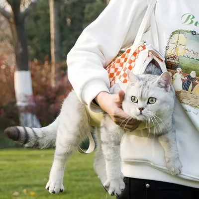 FurryFusion Sac à bandoulière portable pour chat