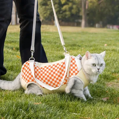 FurryFusion Sac à bandoulière portable pour chat