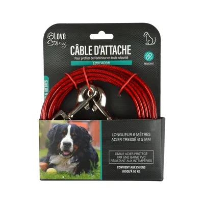 Laisse câble d'attache pour chien