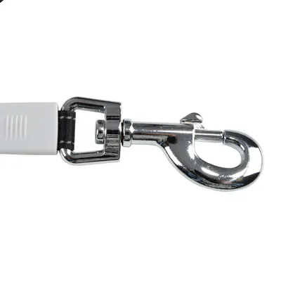 Laisse retractable pour grand chien