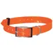Doogy Collier fluo plein-air Couleur : Orange
