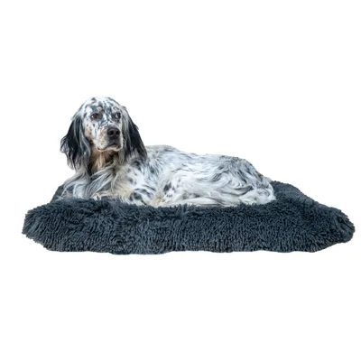 MaxCor Coussin Chien Déhoussable - Mémoire de Forme - Grand Anthracite