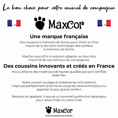 MaxCor Coussin Déhoussable Chien et Chat - Mémoire de Forme - Petit Gris