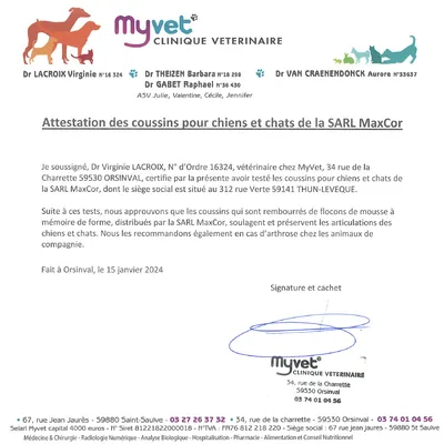 MaxCor Coussin Déhoussable Chien et Chat - Mémoire de Forme - Petit Gris