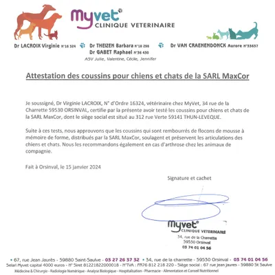 MaxCor Coussin Déhoussable Chien&Chat -Mémoire de Forme -Petit Anthracite