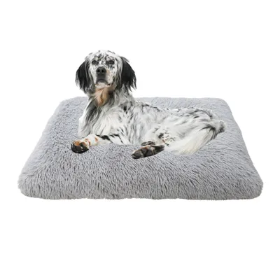 MaxCor Coussin Déhoussable Chien - Mémoire de Forme - Grand Gris