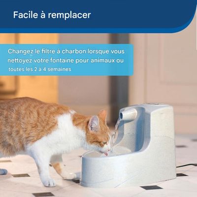 FurryFusion Filtros de repuesto para dispensador de agua