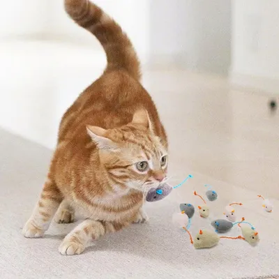 FurryFusion - Jouet pour chat