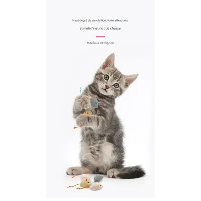 FurryFusion - Jouet pour chat