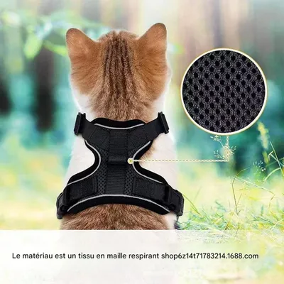 FurryFusion - Laisse et harnais pour chat