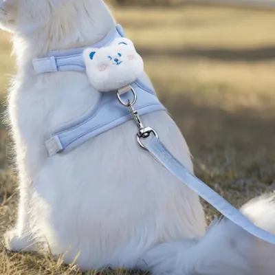 FurryFusion Harnachement de traction pour chat