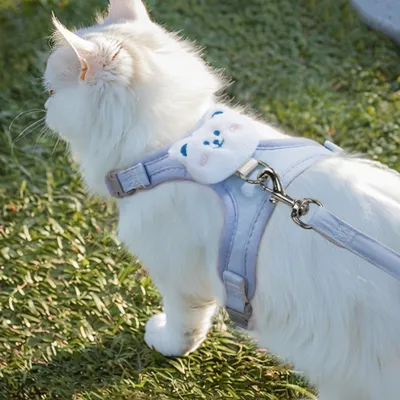 FurryFusion Harnachement de traction pour chat
