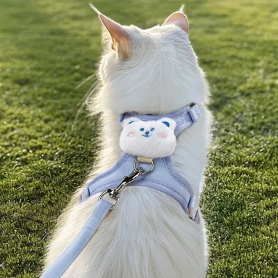 FurryFusion Harnachement de traction pour chat