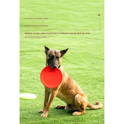 FurryFusion - Frisbee pour chien