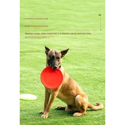 FurryFusion - Frisbee pour chien