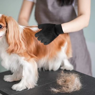 FurryFusion - Gant brosse