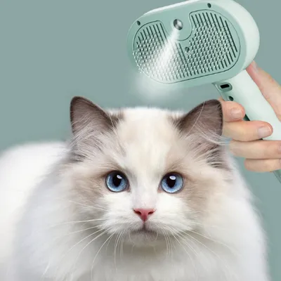 FurryFusion Peigne vaporisateur pour chat