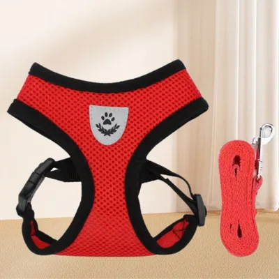 FurryFusion Harnais en toile respirante pour chat et chien