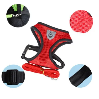 FurryFusion Harnais en toile respirante pour chat et chien