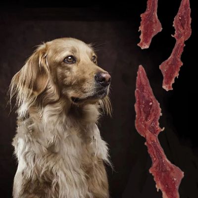 FurryFusion Friandises pour chiens, viande de canard séchée