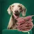 FurryFusion Friandises pour chiens à base de viande mélangée