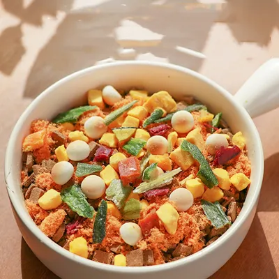 FurryFusion Nourriture nutritive pour chiens