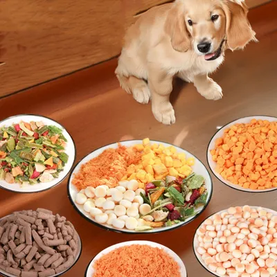 FurryFusion Nourriture nutritive pour chiens