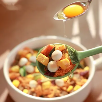 FurryFusion Nourriture nutritive pour chiens