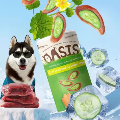 FurryFusion Chips de pommes de terre au concombre et au canard