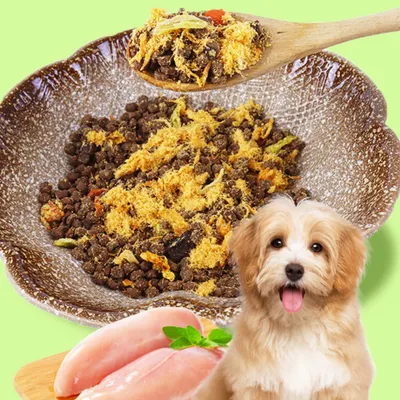 FurryFusion Friandises pour animaux de compagnie, fil de viande