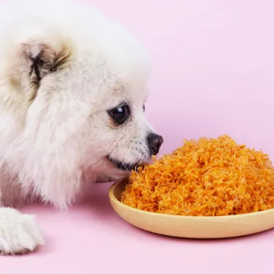 FurryFusion Friandises pour animaux de compagnie, fil de viande