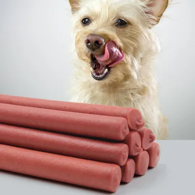 FurryFusion Barre de grignotage pour chien