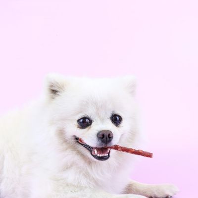 FurryFusion Friandises pour chiens bâtonnets à mâcher à la viande de canard