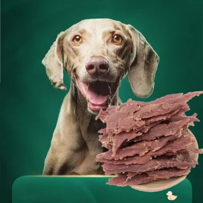 FurryFusion Poulet effiloché, friandises pour chiens