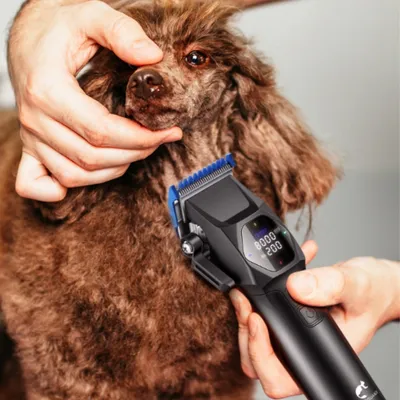 FurryFusion Tondeuse à cheveux électrique multifonction