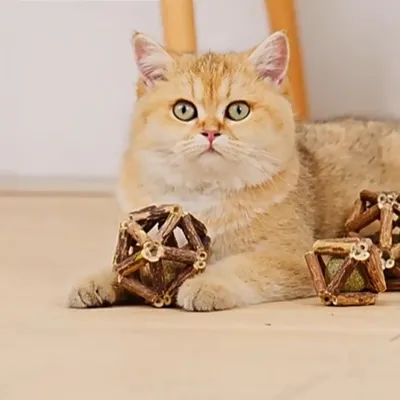 FurryFusion Balle de catnip tressée pour chat