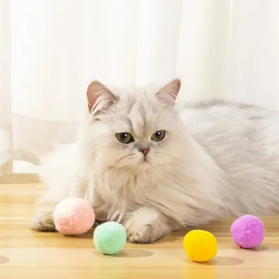FurryFusion Balls de jouet pour chat