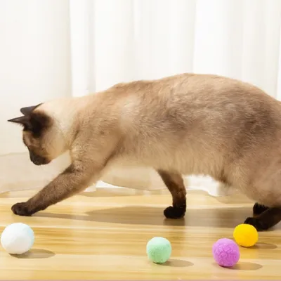 FurryFusion Balls de jouet pour chat